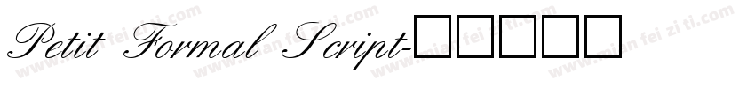 Petit Formal Script字体转换